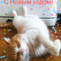 Рыжик